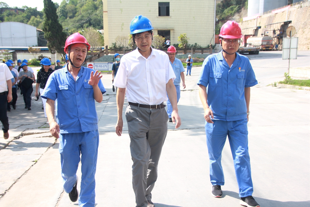 1593776708482339.jpg 1024-1.jpg