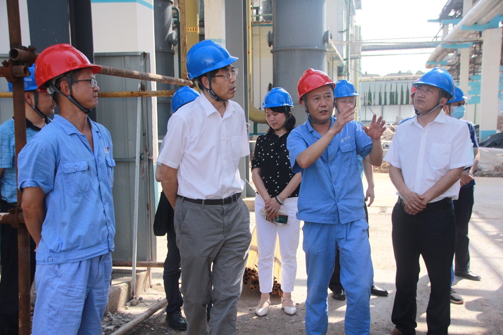 1593776733467597.jpg 1024-3.jpg