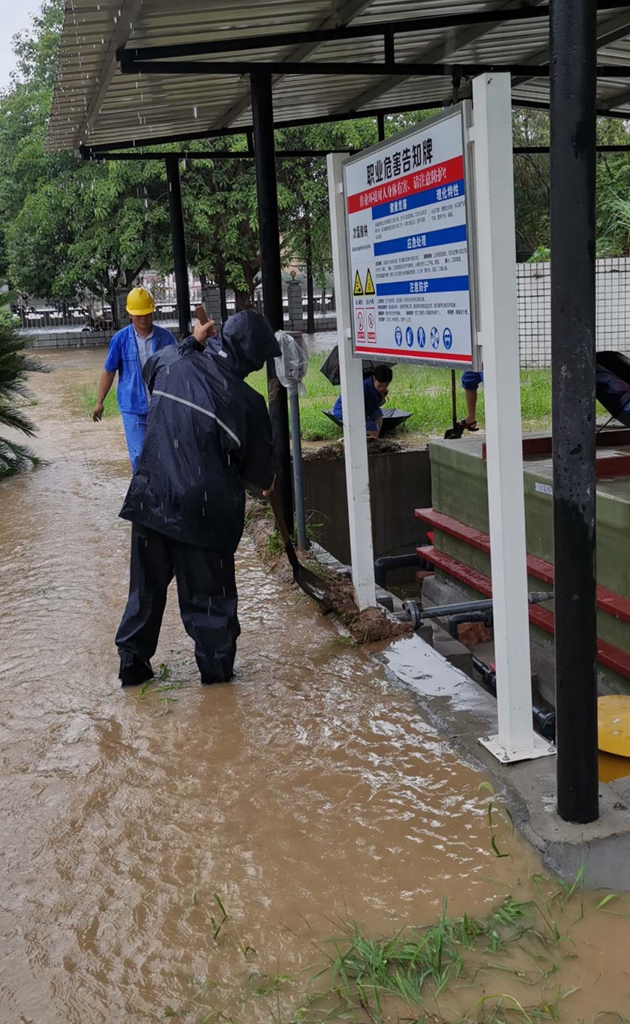 1598835304409795.jpg 1024-4.jpg