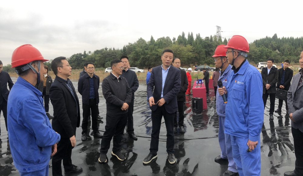 1606199446465305.jpg 1000-5.jpg