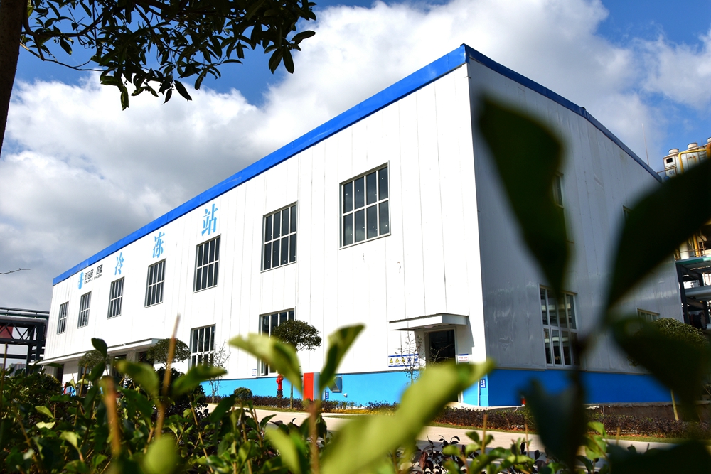 1606203836122023.jpg 1000-03.jpg