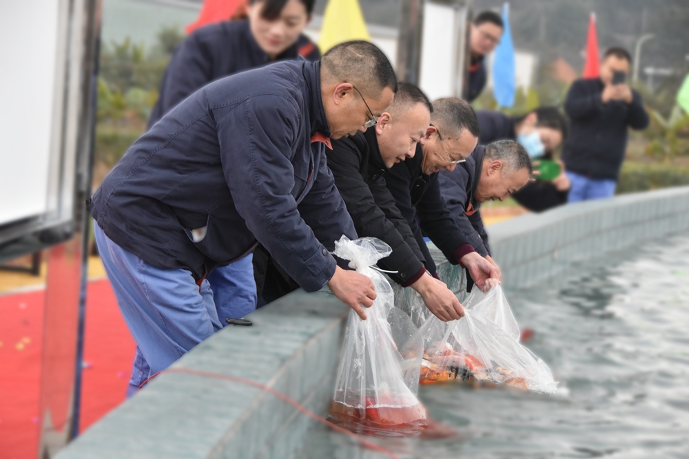 1645606930796755.jpg DSC_0560.jpg