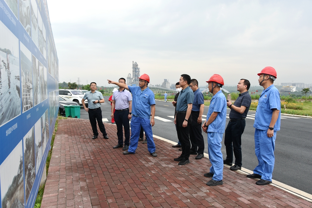 1654756167346626.jpg DSC_5546.JPG