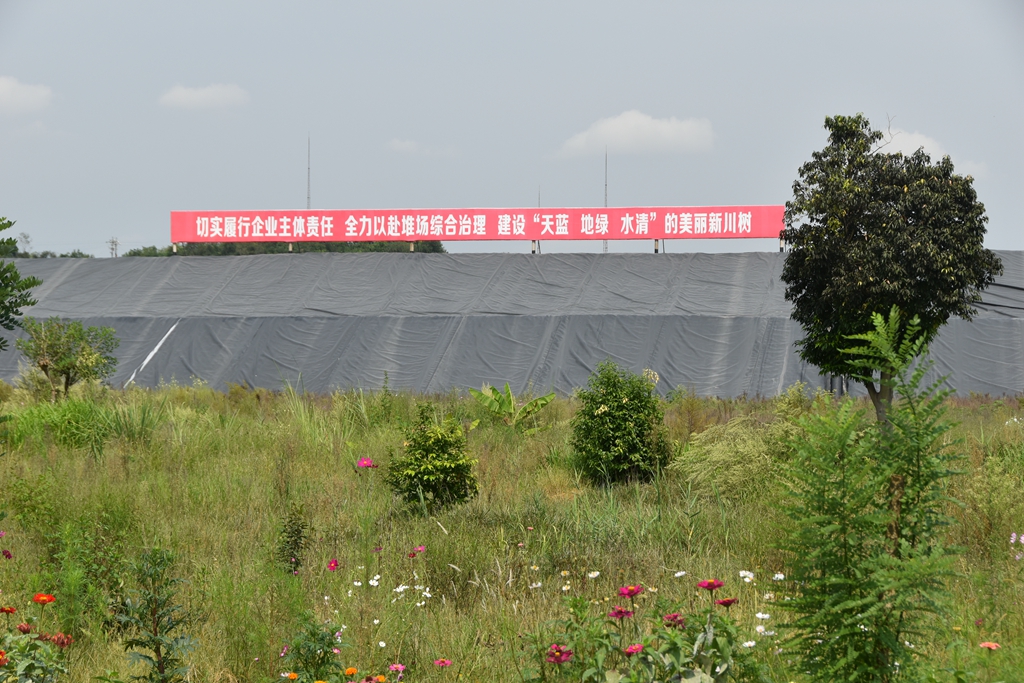 1654756192812369.jpg DSC_5470.jpg